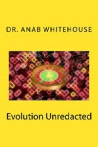 Link to a book that provides a series of critical reflections concenring the theory of evolution.